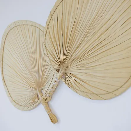 아파트 Terracos De Ethnic By Real 쿼테이라